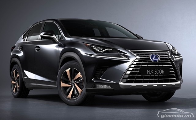 Lexus-NX300h-co-gi-khac